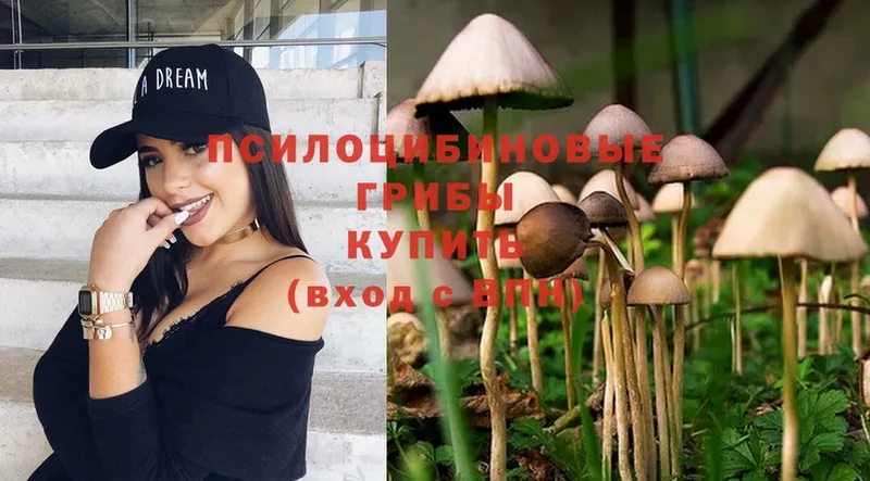 Псилоцибиновые грибы MAGIC MUSHROOMS  Козельск 